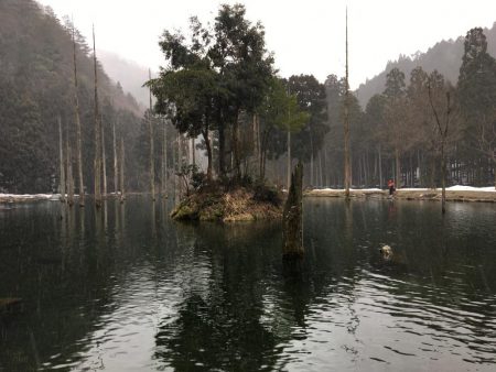 朽木渓流魚センタールアーフィールド